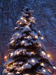 PC244164-weihnachten